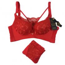 向大大 无钢圈性感防下垂聚拢文胸内衣文胸套装红品款