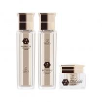 诗臻泊(SKINPA)鎏光蜂采焕活系列三件套