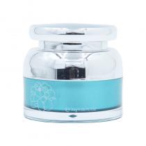 艾丽嘉妍(GIAEOS)瓷光素颜微晶晚霜30g