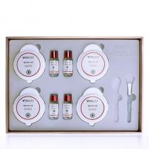 维娜(THE_WEINA)蓓霓芬SPA御龄柔感修护面膜套10件套