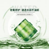 碧斯(BESTCARE)芦荟透肌舒柔水分滋养霜45g