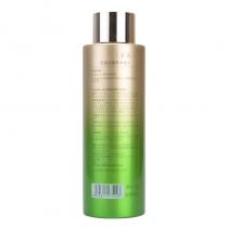 淮树(huaisur)雪莲花精萃净透水400ml