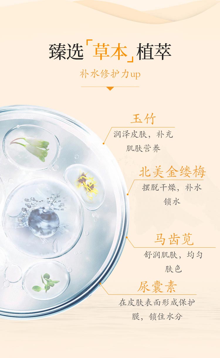 一清堂玉竹舒缓面膜成分和作用