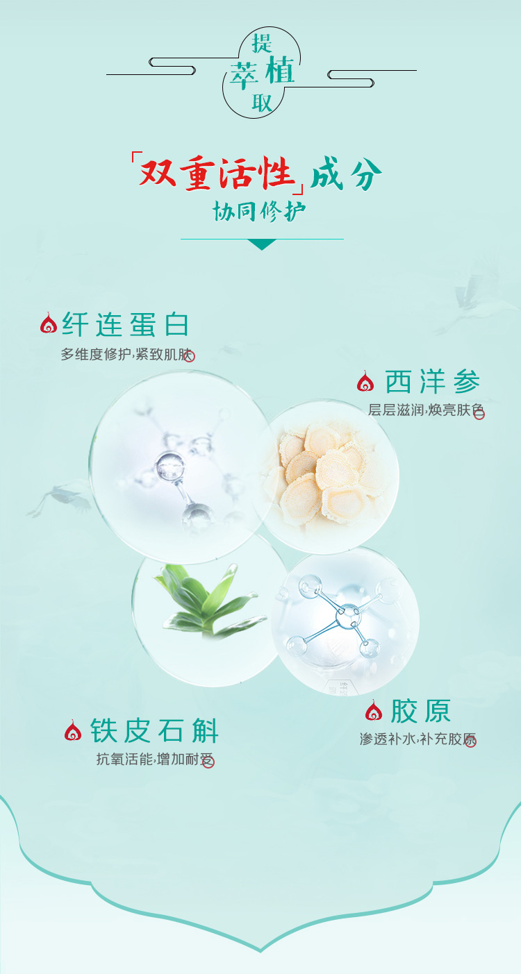 一清堂(YQT)洋参多肽冻干粉商品成分作用