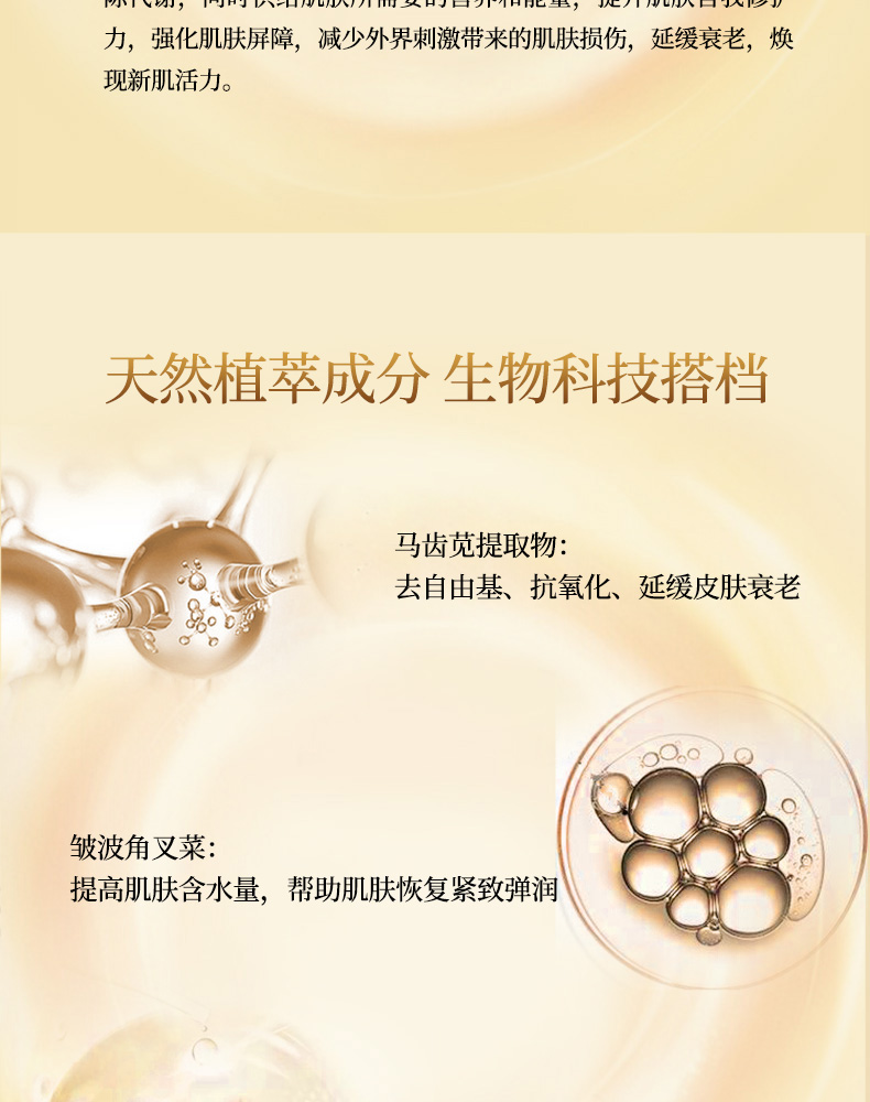 赛斯兰黛(SELAUDI)逆时空密集驻颜精华液30ml成分说明