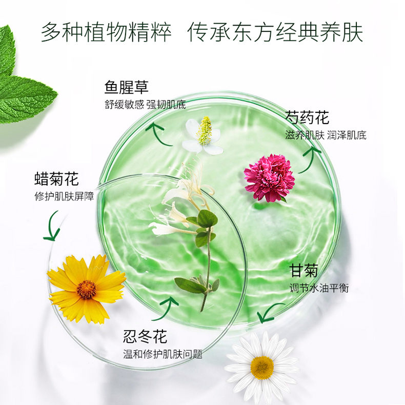 淮树闪亮四姐妹组合（油性适用）功效与作用