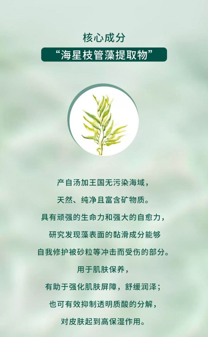 克丽缇娜(CHLITINA)舒源肌活套组11件套产品成分说明