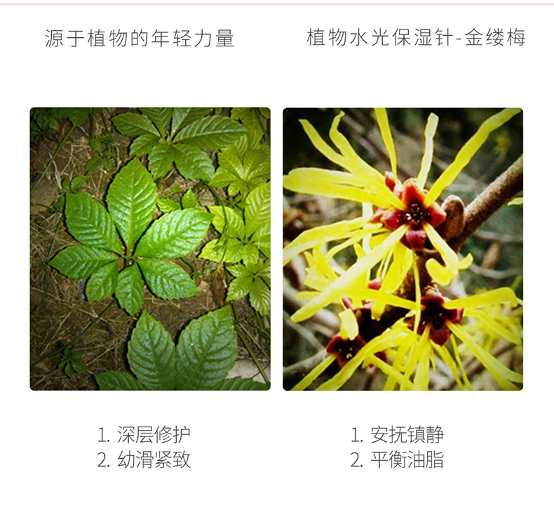 克丽缇娜韩花气垫BB霜产品成分